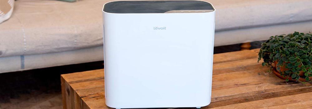 LEVOIT Vital 100 Air Purifier Review