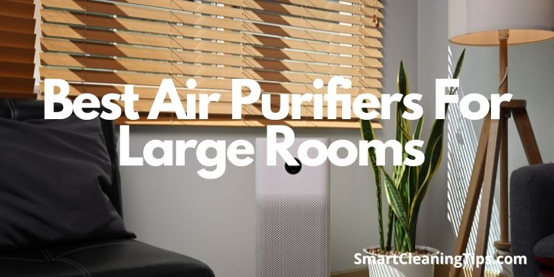 Best Air Purifiers For Large Rooms 