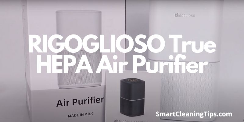 RIGOGLIOSO True HEPA Air Purifier
